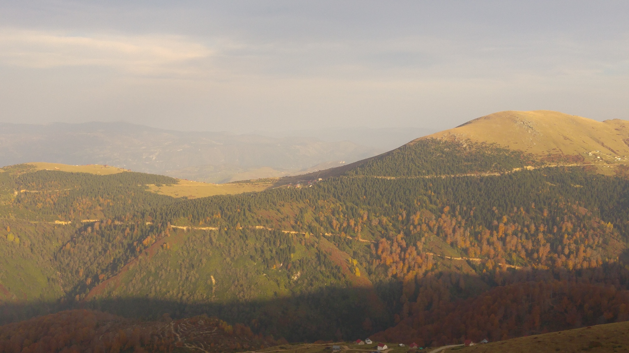 GİRESUN’DA YABAN HAYVANLARI UNUTULMUYOR…