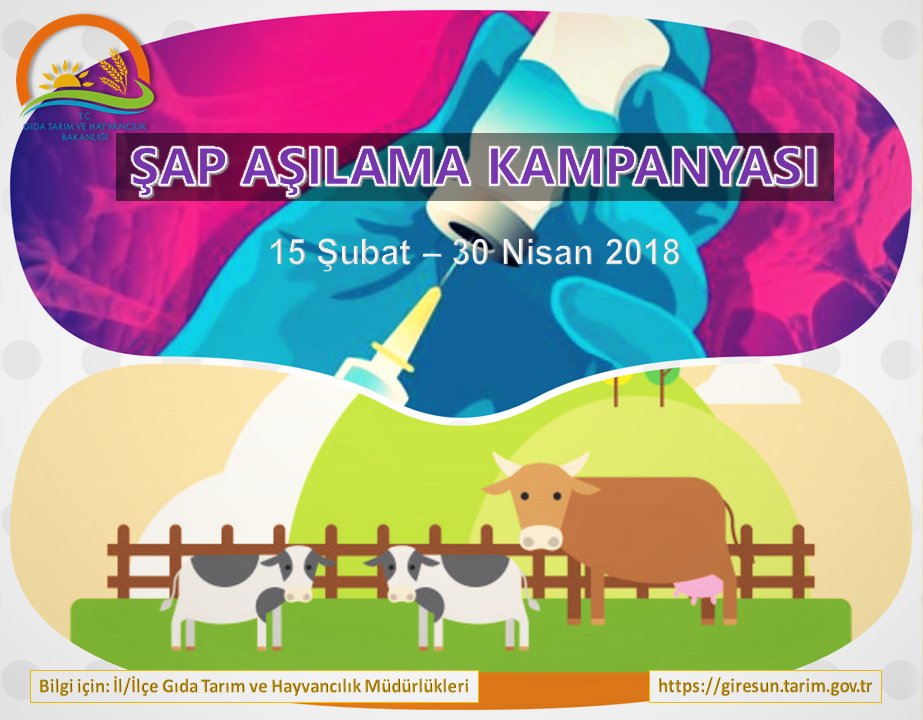 Şap Aşılama Kampanyası Düzenleniyor