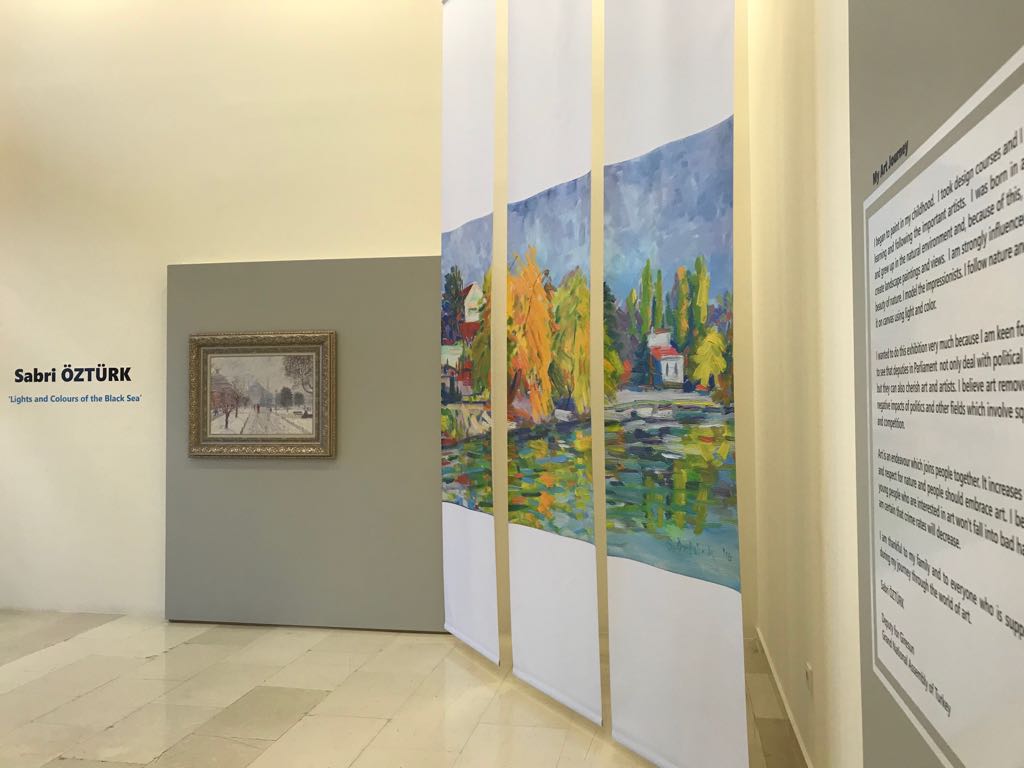 RESİMDEKİ BAŞARISI SINIRLARI AŞTI 