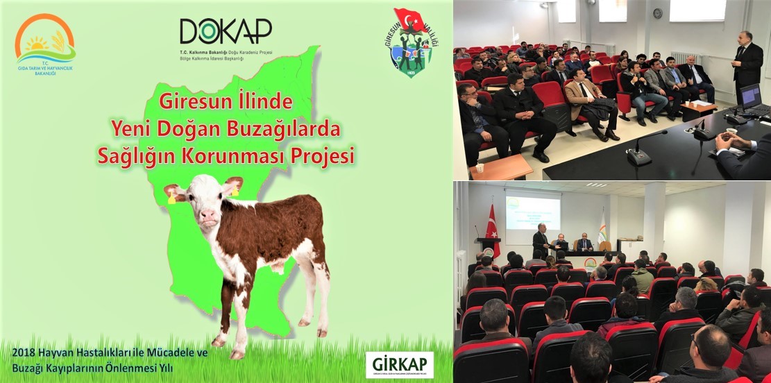 Buzağı Sağlığının Korunması Projesi Eğitimleri Başladı