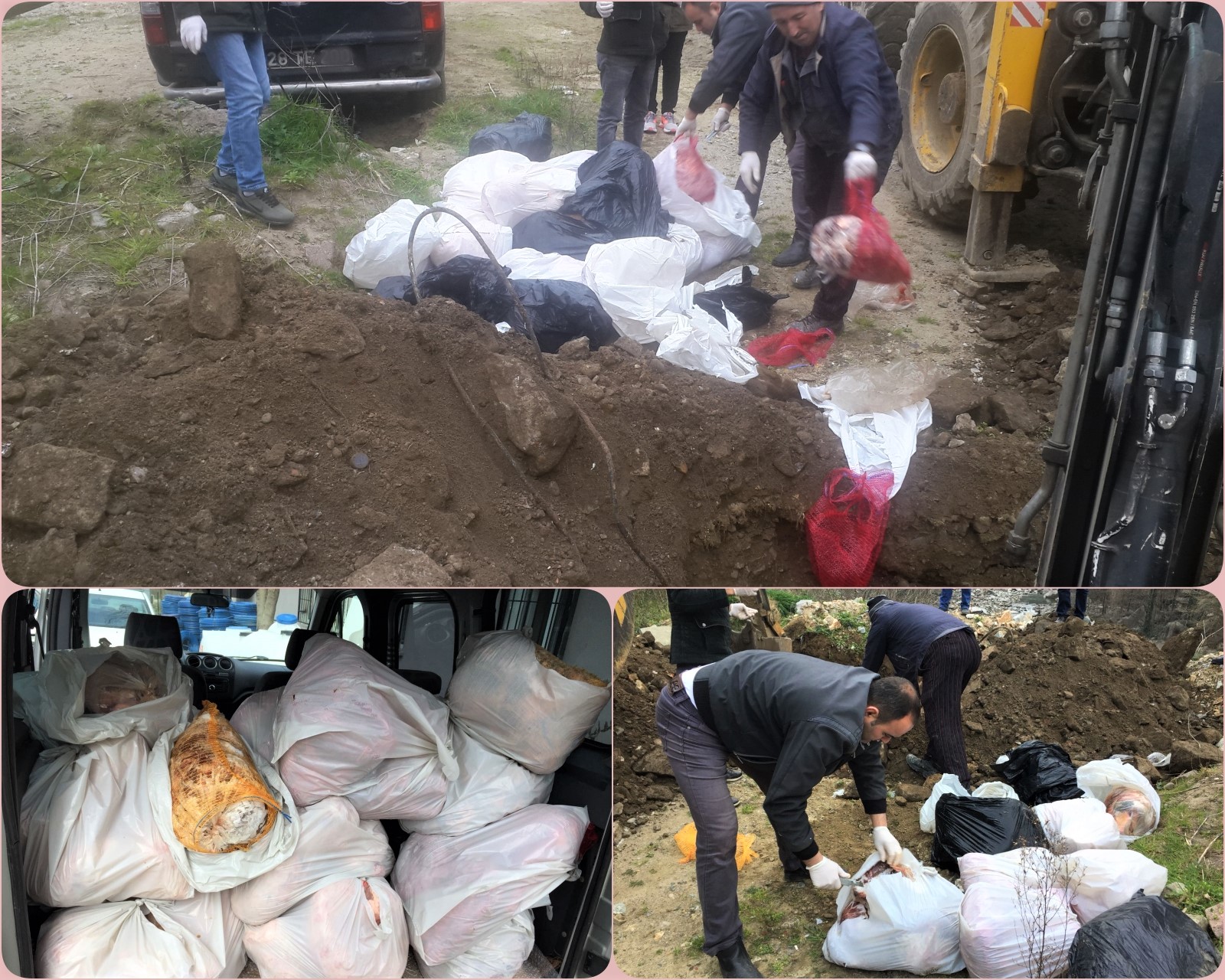 Belgesiz Hayvan ve Hayvansal Ürün Nakline Geçit Verilmiyor