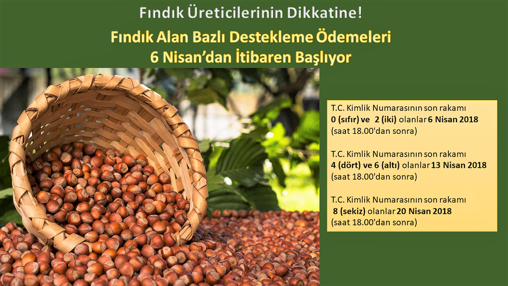 Fındık Üreticilerinin Dikkatine!