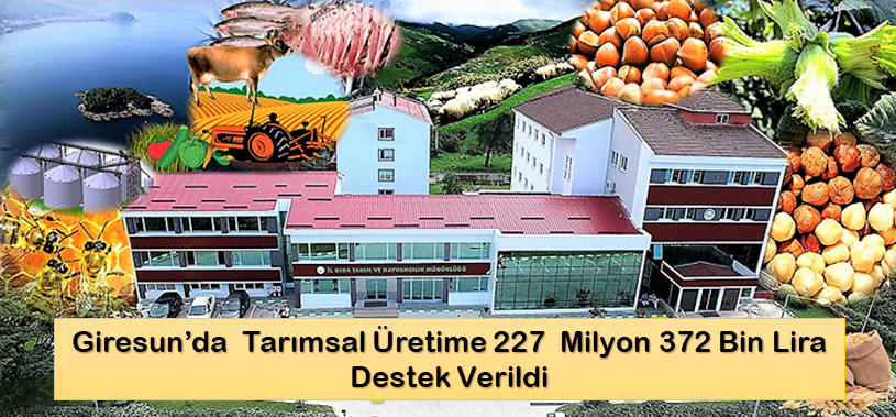 Giresun’da  Tarımsal Üretime 227  Milyon 372 Bin Lira Destek Verildi