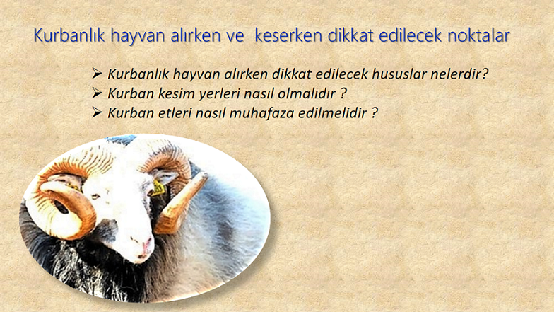 Kurbanlık Hayvan Alırken ve Keserken Dikkat Edilmesi Gereken Hususlar