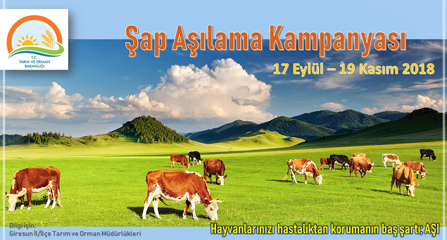 Şap Aşılama Kampanyası düzenleniyor