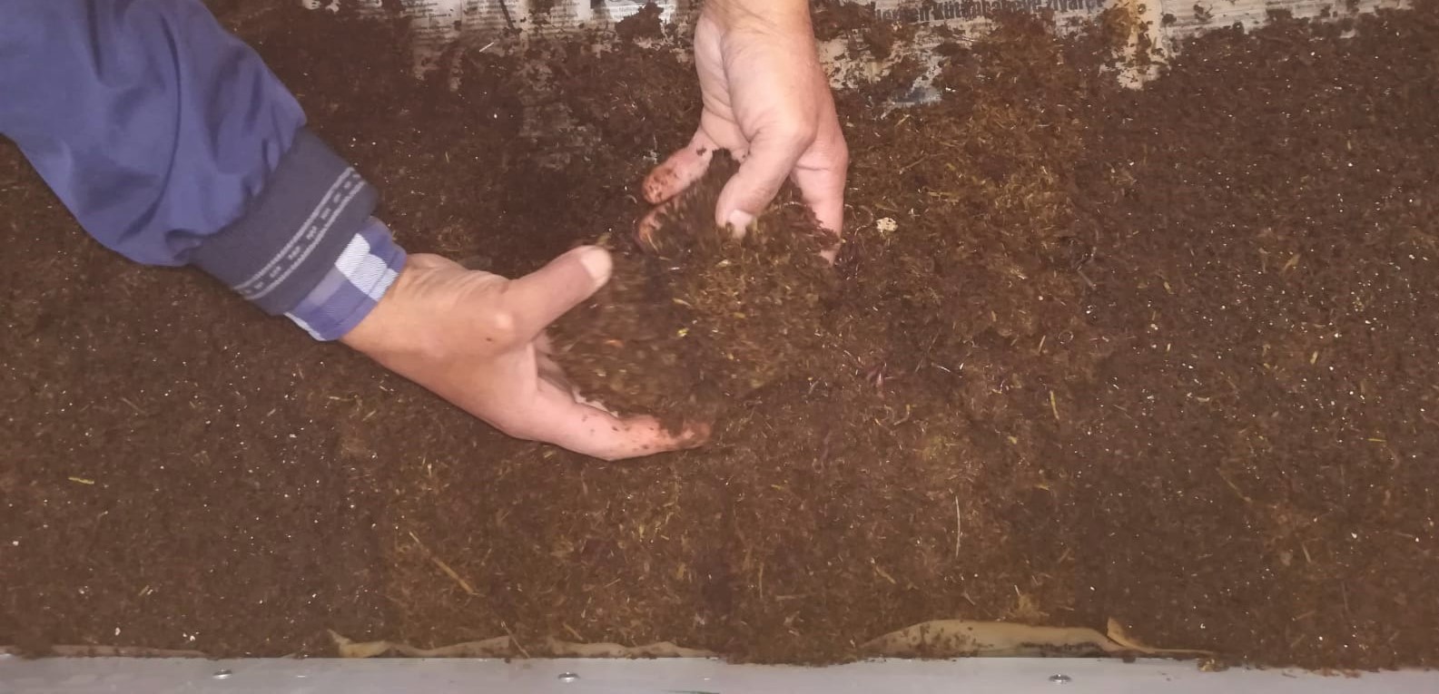 Giresun’da Solucan Gübresi Üretimi Yaygınlaşıyor