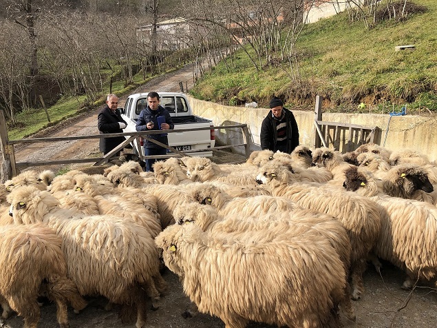 Genç Çiftçiler Üretmeye Devam Ediyor…