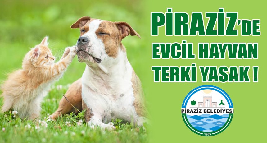 PİRAZİZ'DE EVCİL HAYVAN TERKİ YASAK !