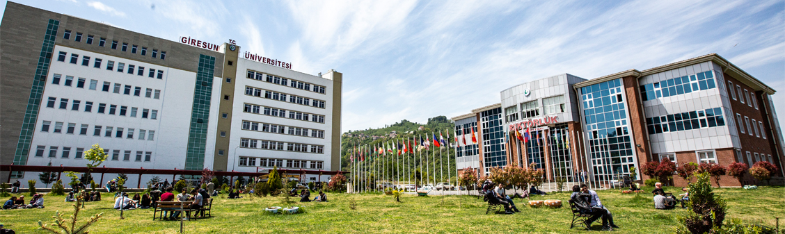 GİRESUN ÜNİVERSİTESİNDE (3+1) DÖNEMİ BAŞLADI