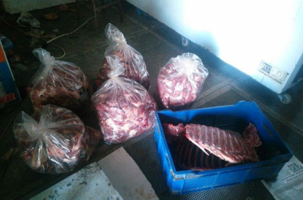 Bulancak'ta 700 kilo domuz eti ele geçirildi!