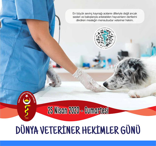 GİRESUN VETERİNER HEKİMLER ODASI BASIN AÇIKLAMASI