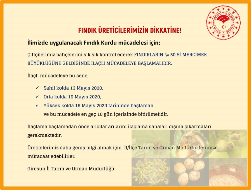 FINDIK ÜRETİCİLERİMİZİN DİKKATİNE!