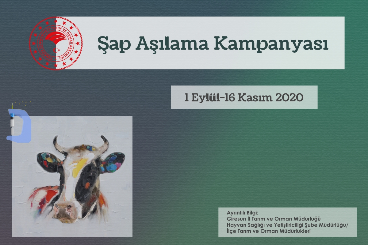 Şap Aşılama Kampanyası Başladı 