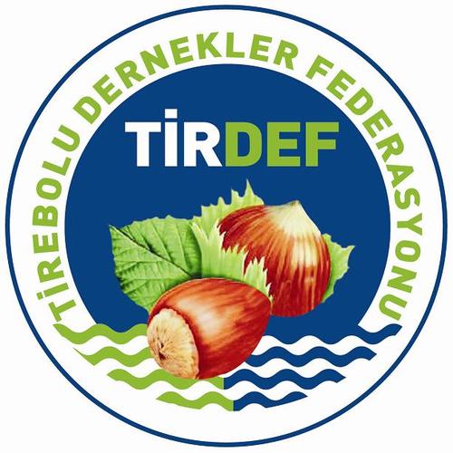 TİRDEF Demir yolu basın açıklaması
