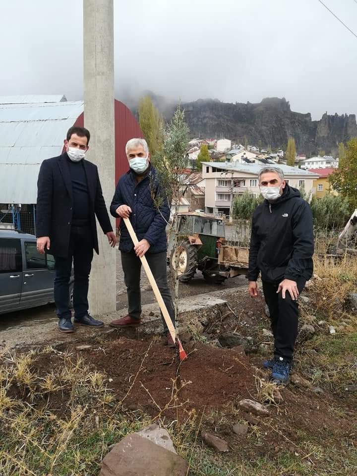 Tocder Hizmet İçin Yarışıyor