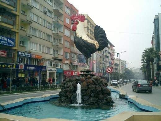 DENİZLİ ve İLÇELERİ ile TOHUM ve FİDAN