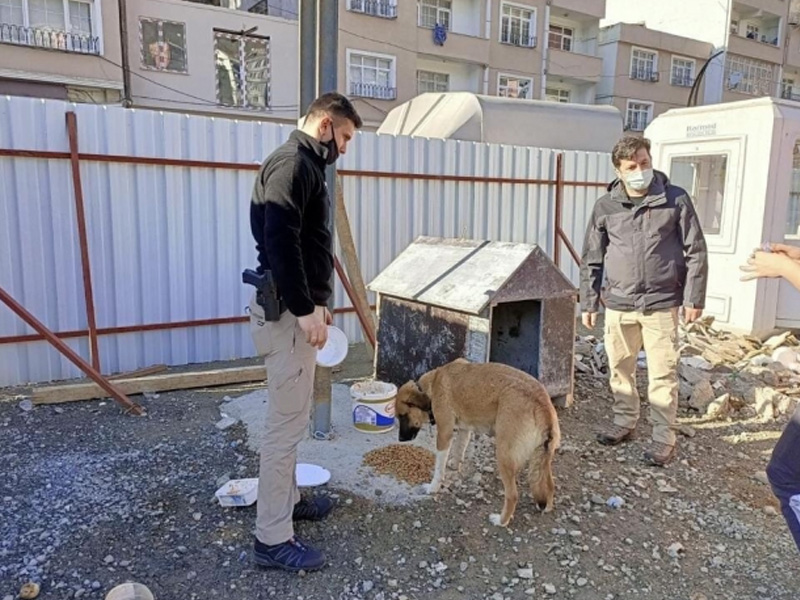 Giresun Polisinden Sokak Hayvanlarına Yem Ve Mama Desteği