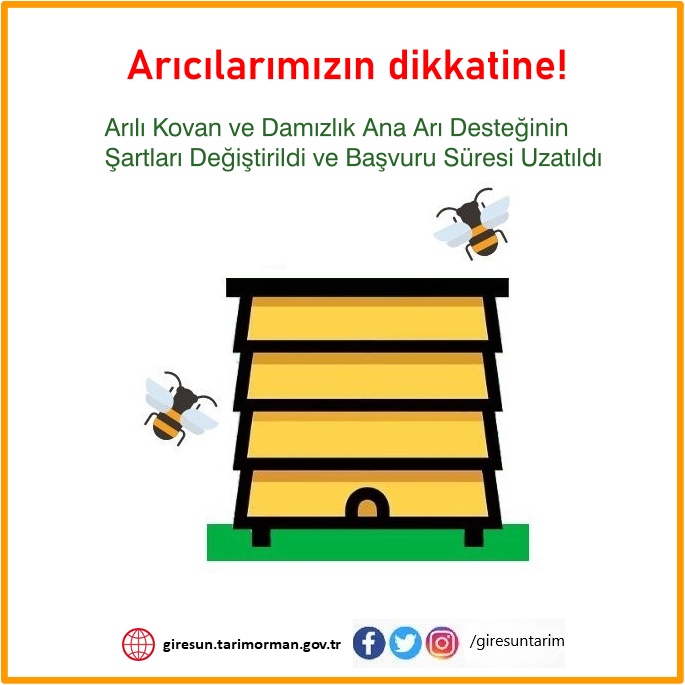 Ana Arı Desteğinin Şartları Değiştirildi ve Başvuru Süresi Uzatıldı