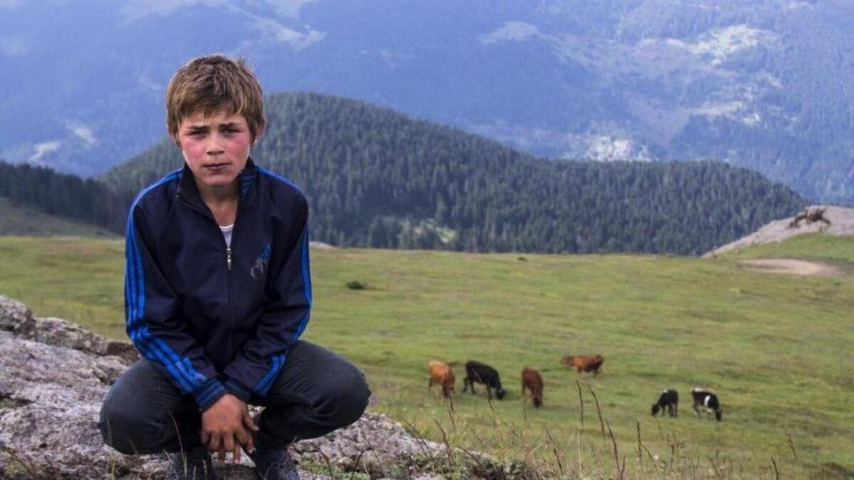 KARADENİZ DAĞLARININ GÜLÜ, BÜLBÜLÜ