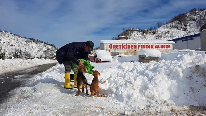 SOKAK HAYVANLARI UNUTULMADI