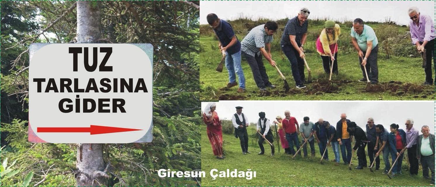 ÜNİVERSİTE  “TUZ EKİM” KÜLTÜRÜ BİLİMSEL BİLDİRİSİ YAYINLANDI