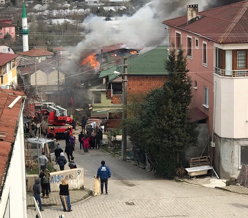 Yalova'da yangın korkuttu