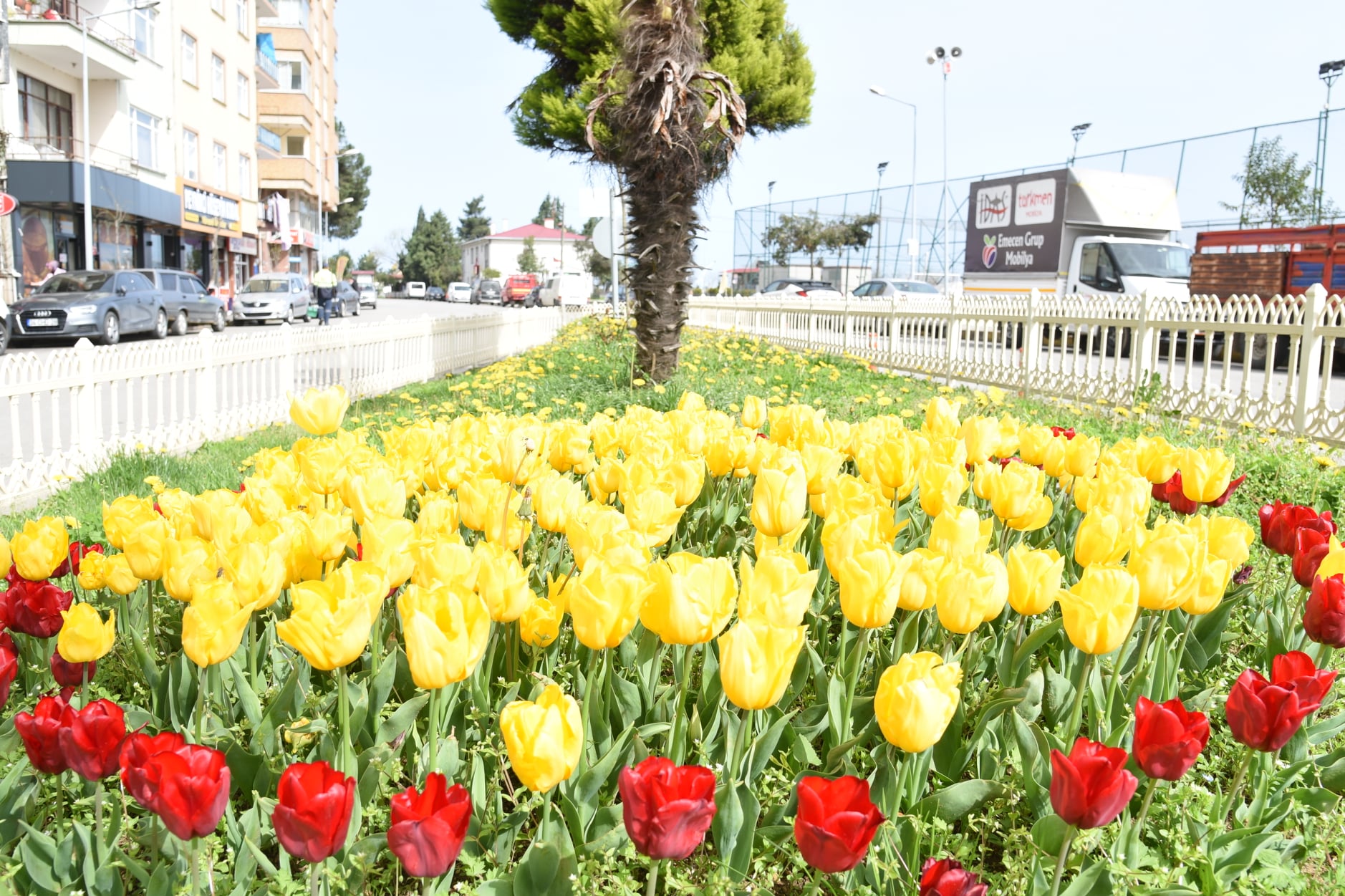 GÖRSEL BİR ŞÖLEN SUNDU