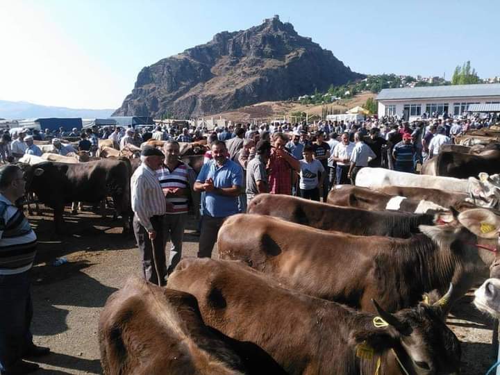 Alucra Modern Hayvan Pazarına Kavuşuyor