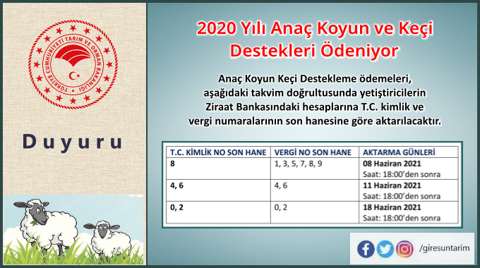 2020 Yılı Anaç Koyun ve Keçi Destekleri Ödeniyor