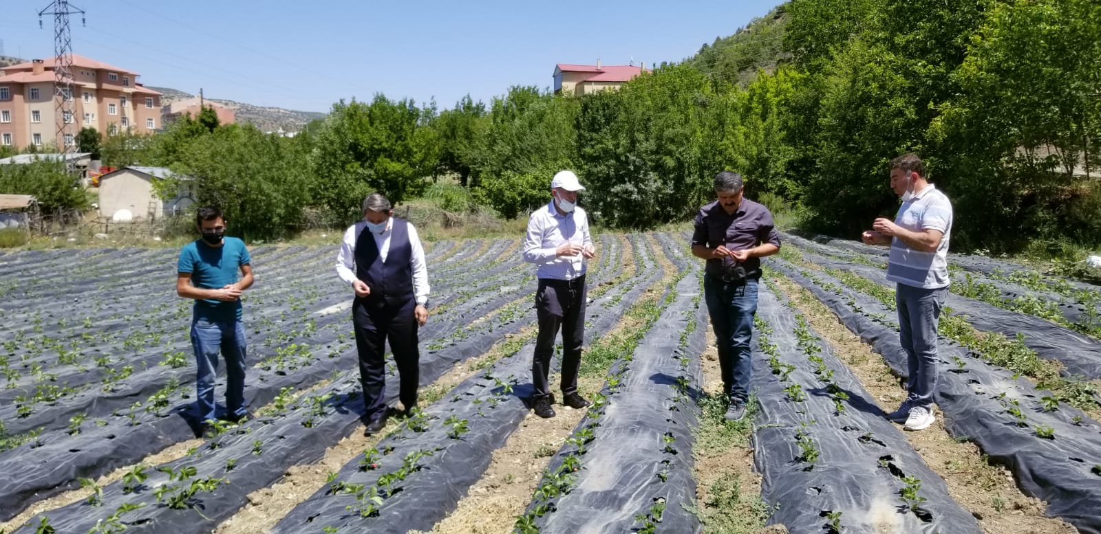  Yapılan Yatırımlar Meyvelerini Veriyor