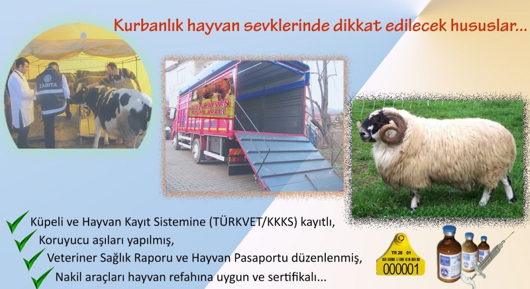 Kurbanlık Hayvan Nakillerinde Uyulması Gereken Kurallar
