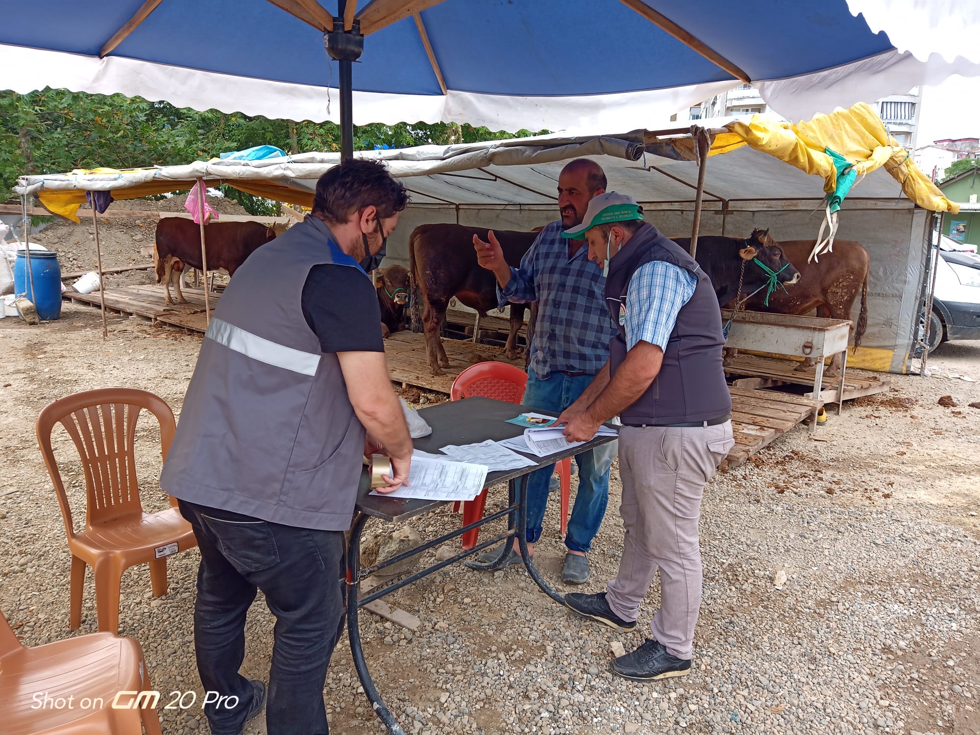 Kurban Satış Yerlerinde Gerekli Tedbirler Alınıyor
