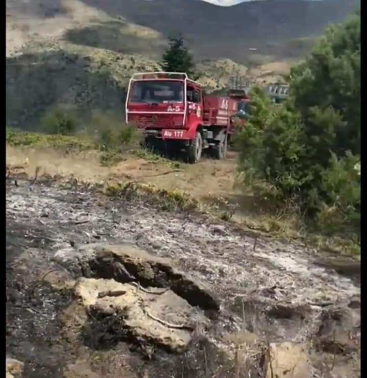 ALUCRA ORMAN İŞLETME YANGINA ERKEN MÜDAHALE ETRİ