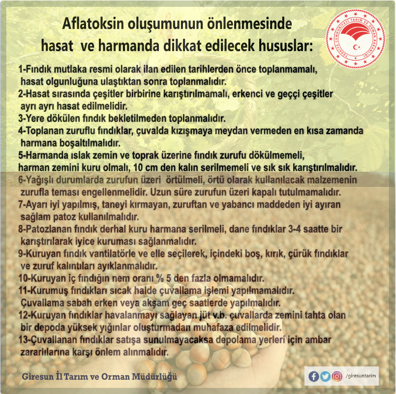FINDIK ÜRETİCİLERİMİZİN DİKKATİNE!