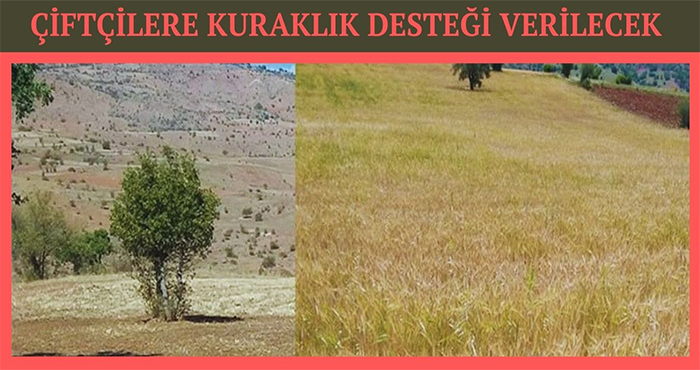 Şebinkarahisar, Alucra, Çamoluk Kuraklık Kapsamına Alındı