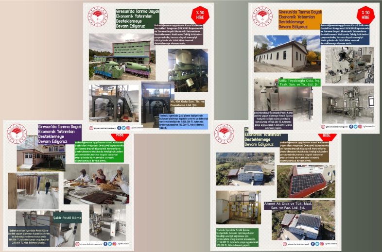 Giresun'da Tarıma Dayalı Ekonomik Yatırımları Desteklemeye Devam Ediyoruz