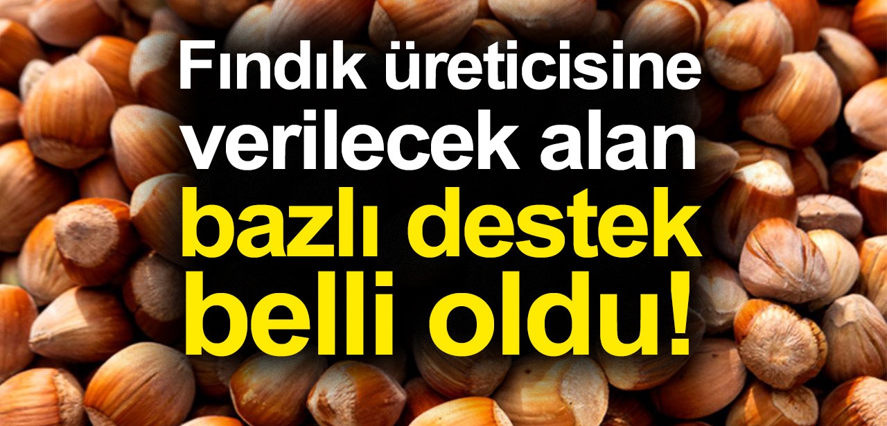 2021 Üretim Yılı Fındık Alan Bazlı Gelir Desteği Askı İcmalleri Askıya Çıktı