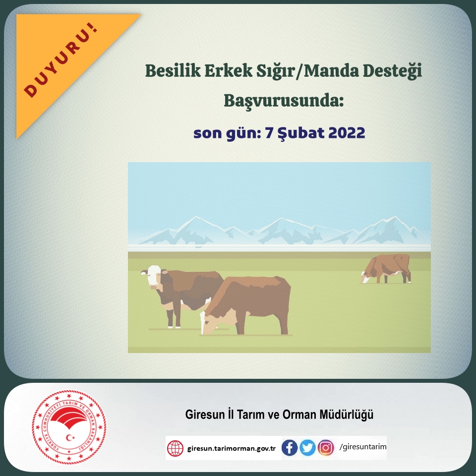 Besilik Erkek Sığır/Manda Desteği Başvurusunda: Son Gün 7 Şubat