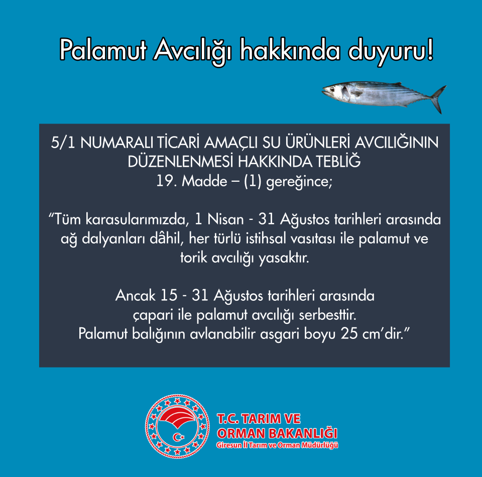 Palamut Avcılığı hakkında duyuru!
