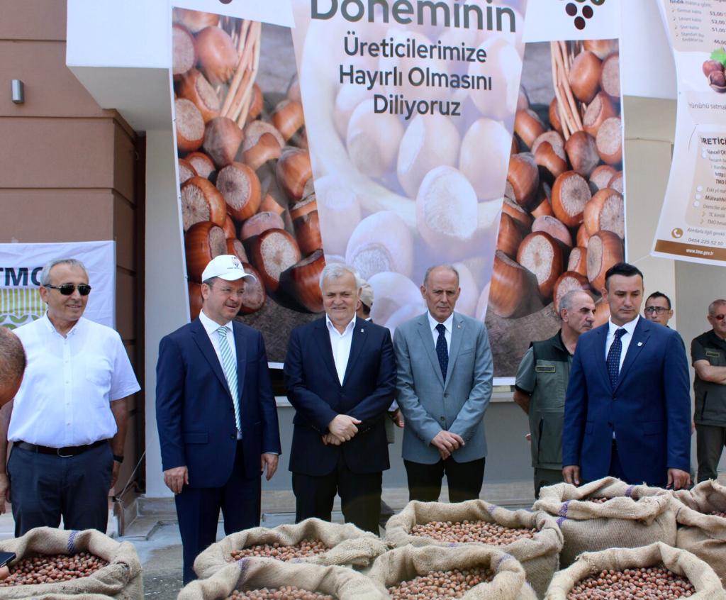 TMO fındık alımlarına başladı