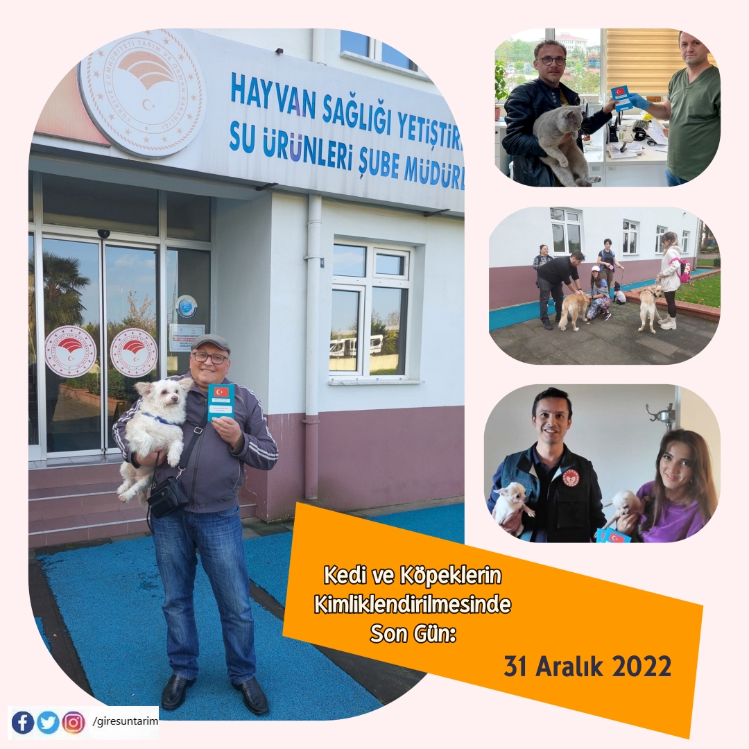 Kedi ve Köpeklerin Kimliklendirilmesinde Son Gün: 31 Aralık 2022