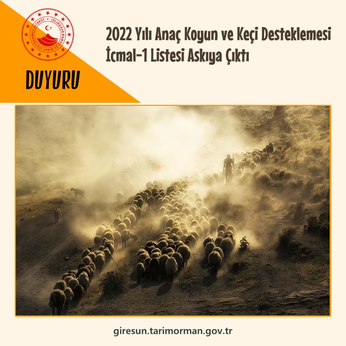 2022 Yılı Anaç Koyun ve Keçi Desteklemesi İcmal-1 Listesi Askıya Çıktı