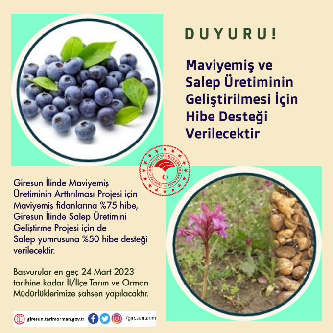 Maviyemiş ve Salep Üretiminin Geliştirilmesi İçin Hibe Desteği Verilecektir