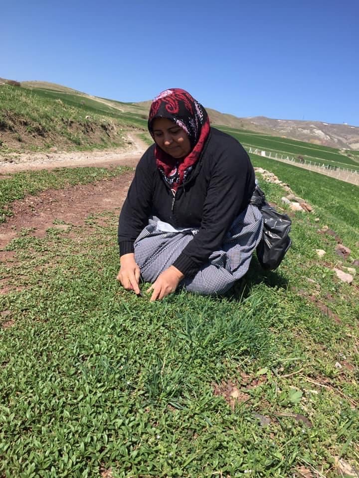 LEYLİCAN Şiirinde YAKARIŞ