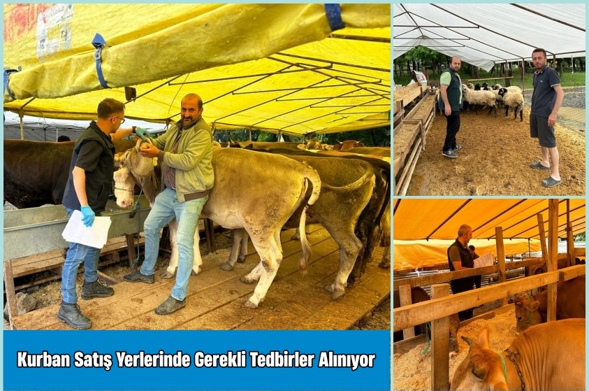 Kurban Satış Yerlerinde Gerekli Tedbirler Alınıyor