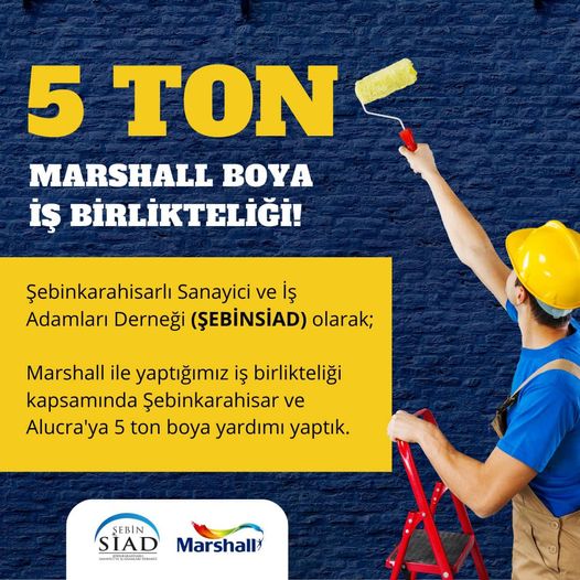 ŞEBİNSİAD Şebinkarahisar’ı Boyadı