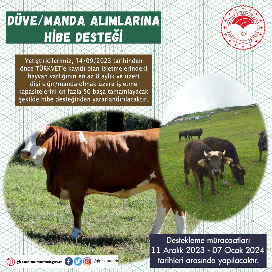 DÜVE/MANDA ALIMLARINA HİBE DESTEĞİ