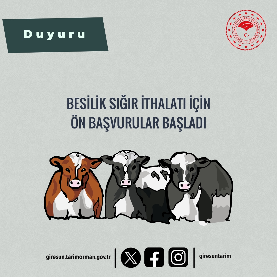 BESİLİK SIĞIR İTHALATI İÇİN ÖN BAŞVURULAR BAŞLADI