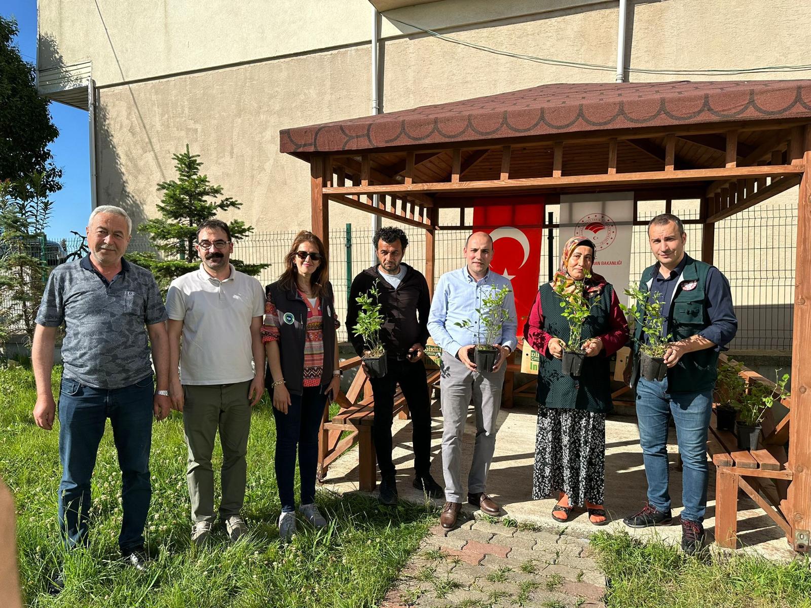 Maviyemiş Yetiştiriciliği Destekleniyor