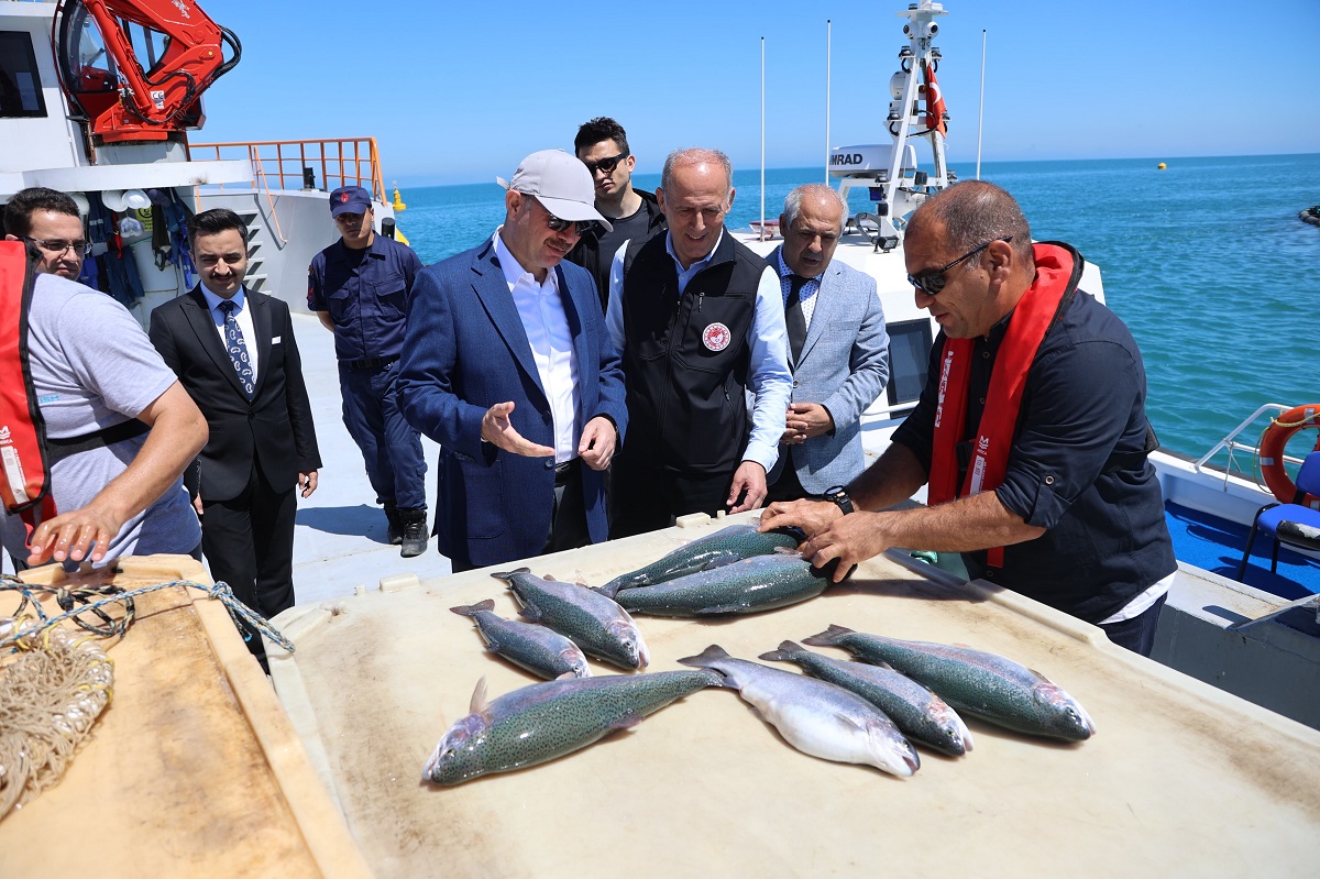 Vali Serdengeçti, Türk Somonu Hasadına Katıldı